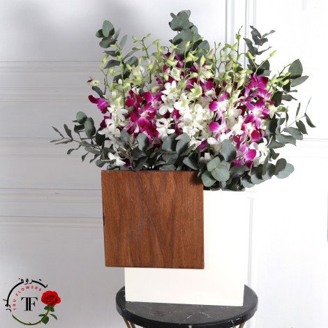 wood orchidia