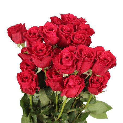 RED ROSES 20/PCS (INDIA)