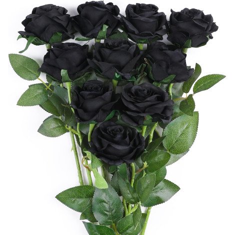 Black roses