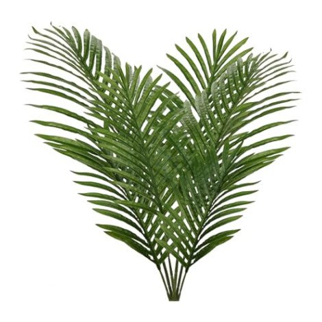 ERCA GREEN